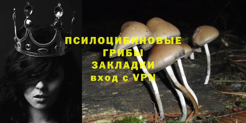 как найти наркотики  Биробиджан  Галлюциногенные грибы MAGIC MUSHROOMS 